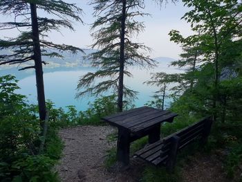 Bench by trees in forest against sky