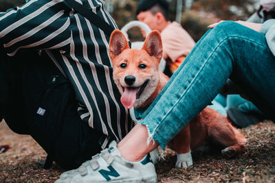 Low section of people with dog