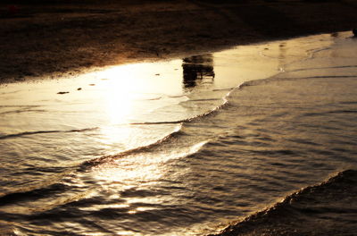 Reflection of trees in puddle