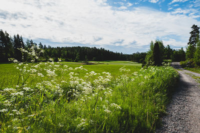 Scenic view of land against sky