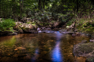 River flowing through rocks in forest