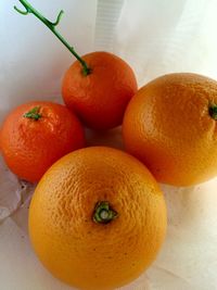 Close-up of orange fruit