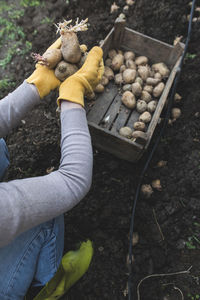 High angle view of hand holding vegetables