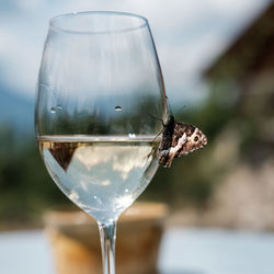 Close-up of drink on table