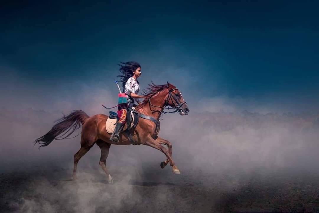 horse, domestic, horseback riding, domestic animals, mammal, livestock, animal wildlife, riding, activity, ride, pets, full length, one animal, vertebrate, real people, one person, working animal, outdoors, cowboy, herbivorous, dust