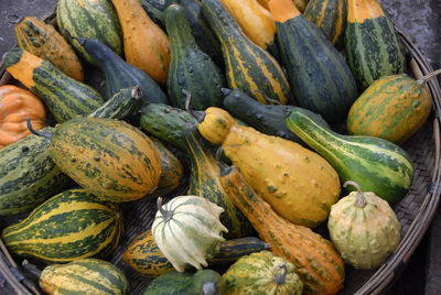 Close-up of pumpkins in market