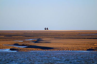 Wild ride on the beach in low tide .