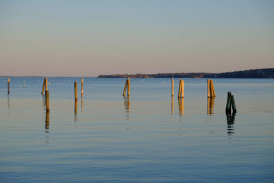 Wooden posts in sea against clear sky