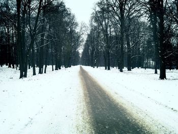 Road passing through trees