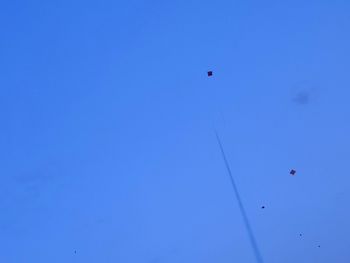 Low angle view of bird flying in blue sky