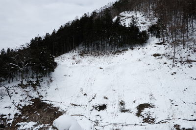 Snow covered plants on land against sky