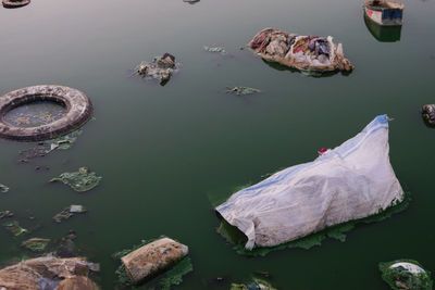 High angle view of leaves floating on lake