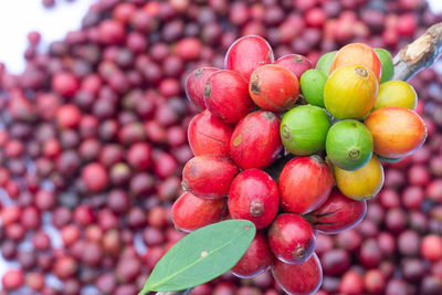 High angle view of strawberries