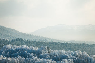 Scenic view of mountains against sky during winter