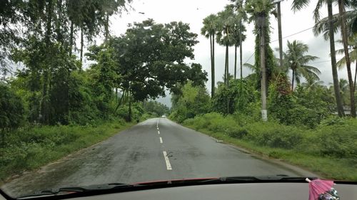 Road amidst trees against sky