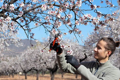 Low angle view of young man holding cherry blossom tree