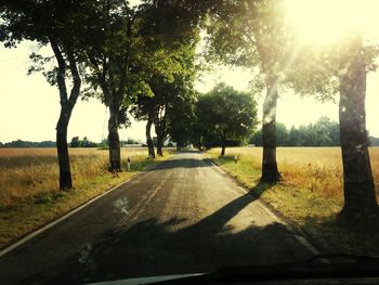 Road passing through forest