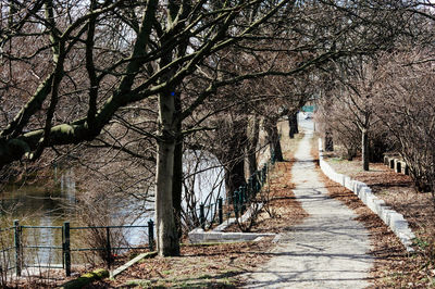 Footpath passing through bare trees