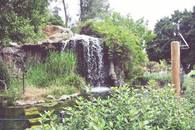 Waterfall in forest