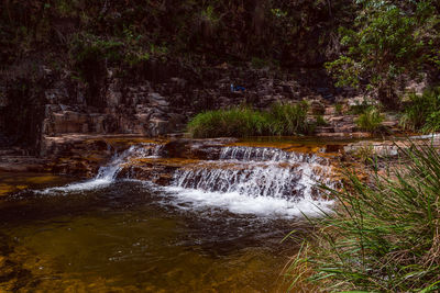 Scenic view of waterfall in forest