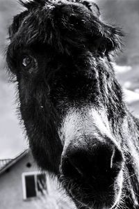 Art artphotography artphoto bulgaria streetphotography ways of seeing capture the