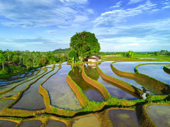 Scenic view of lake against sky