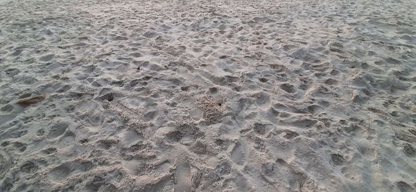 High angle view of footprints on sand at beach