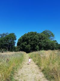 Rear view of baby girl walking on grassy field against clear blue sky during sunny day