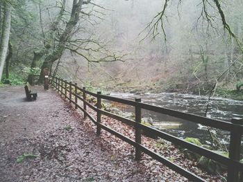 Footbridge leading towards trees