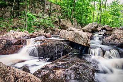 View of waterfall in forest