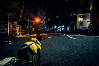 Rear view of man on illuminated street at night