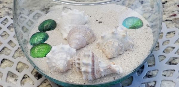 High angle view of shells in container