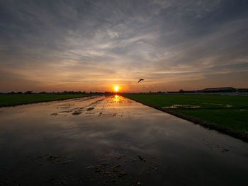 Photos of twilight time at rice field sam khok pathum thani province thailand.