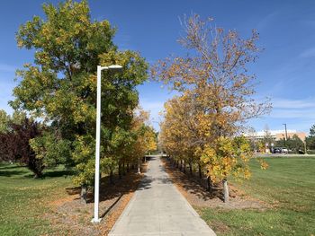 Footpath amidst trees against sky during autumn