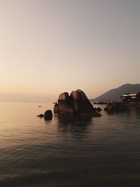 Rocks in sea against clear sky during sunset