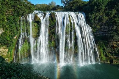 Scenic view of waterfall in forest