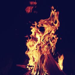 Close-up of bonfire at night