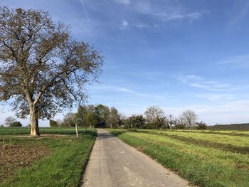 Road amidst field against sky