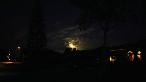 Silhouette trees by illuminated city against sky at night