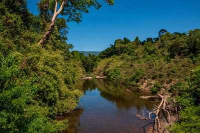 Scenic view of lake in forest against clear blue sky