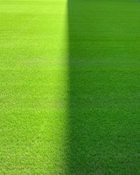 Sunlight and shade creating a contrast between light and dark on a grass sport field. 