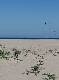 Scenic view of beach against clear sky