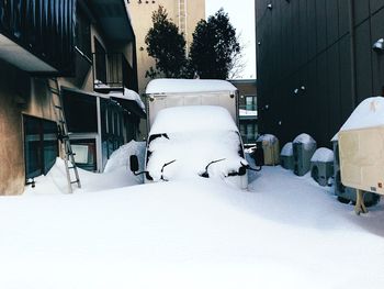 Snow covered trees