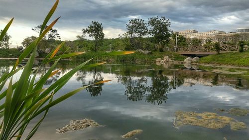 Scenic view of lake against sky