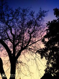 Low angle view of silhouette tree against sky