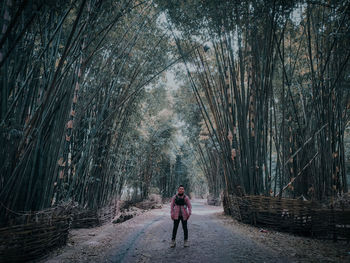 Rear view of woman walking on walkway in forest