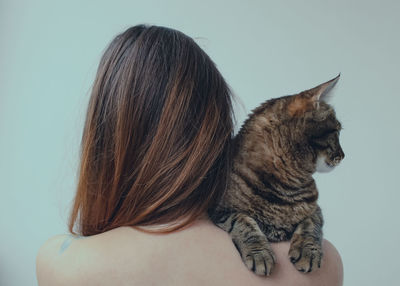 Friendship between a cat and a person 