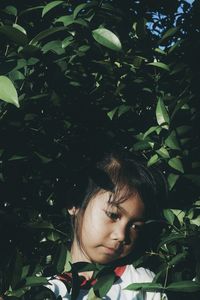 Portrait of girl in plant