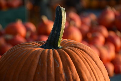 Close-up of fresh vegetables for sale at market stall