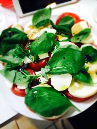 Close-up of food in plate